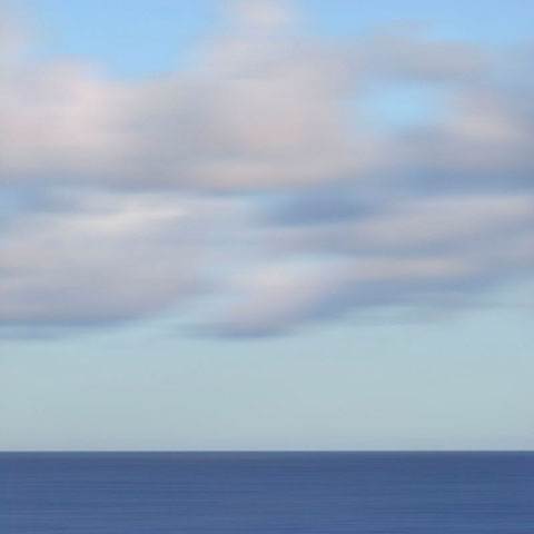 Brushstrokes #8