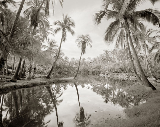 Fishponds Mauna Lani
