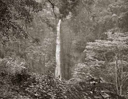 Akaka Falls